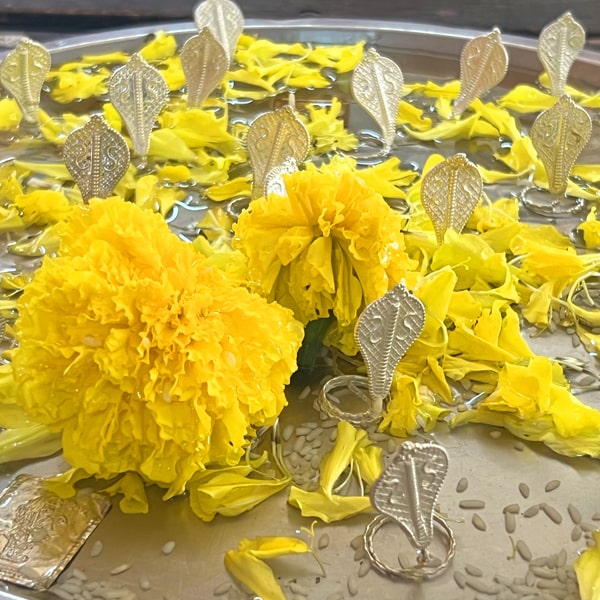 Kaal Sarp Dosh Remedies