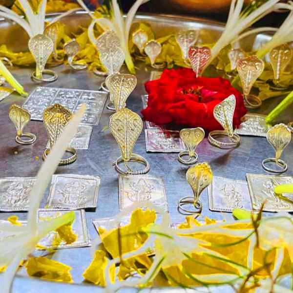 kalsarp dosh nivaran puja 