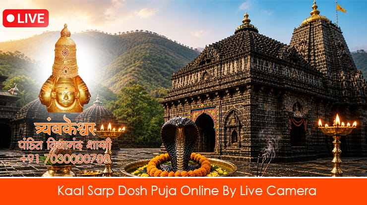 Kaal Sarp Dosh Puja Online By Live Camera