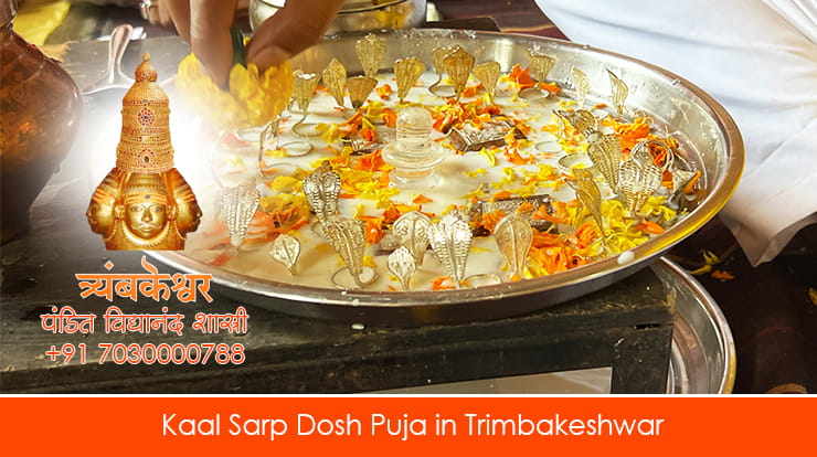 Kaal Sarp Dosh Puja in Trimbakeshwar