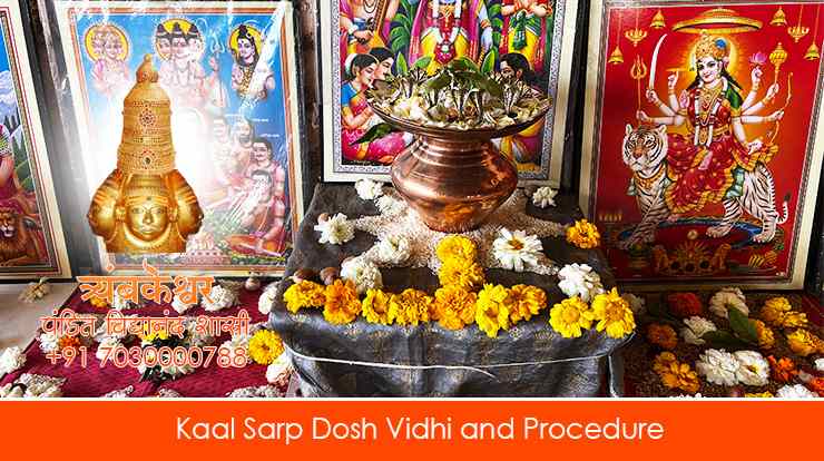 Kaal Sarp Dosh Vidhi and Procedure